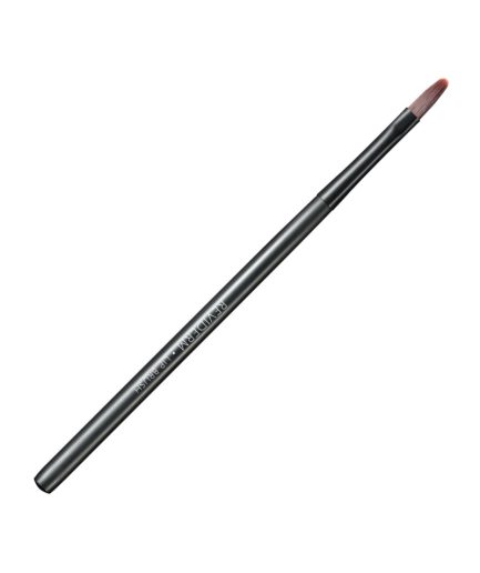 LIP BRUSH